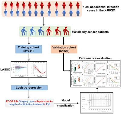 A novel risk classifier to predict the in-hospital death risk of nosocomial infections in elderly cancer patients